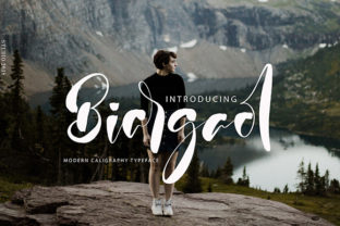 Biargaol Font: Adding Playful Charm to Brand Identity