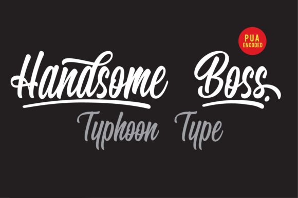 Handsome Boss Font: Bold Script for Web Design