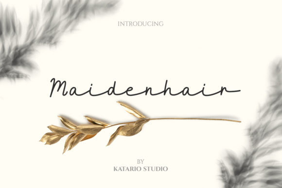 Maidenhair Font: Elevating Digital Brand Identity