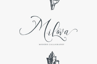Milova Font: Elevate Your Small Business Brand Identity