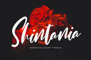 Shintania Font: Romantic Script for Handmade Products