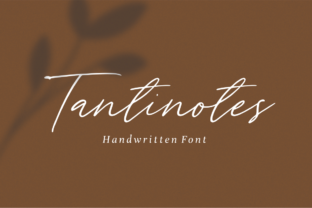 Tantinotes Font: Adding Authentic Charm to Brand Visuals