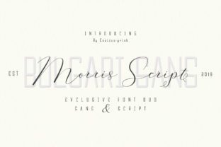 Transform Your Handmade Creations with Morris Duo Font